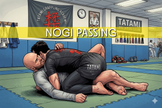 BJJGames NoGi Passing